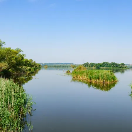 In 43608 잘라카로쉬