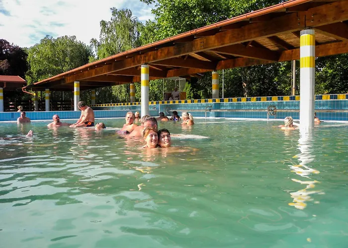 In 43608 Appartement Zalakaros